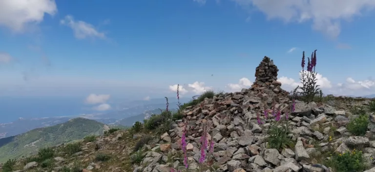 Location de villa à Carbuccia